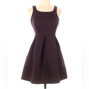 Express Fit and Flare Skater Dress Plum